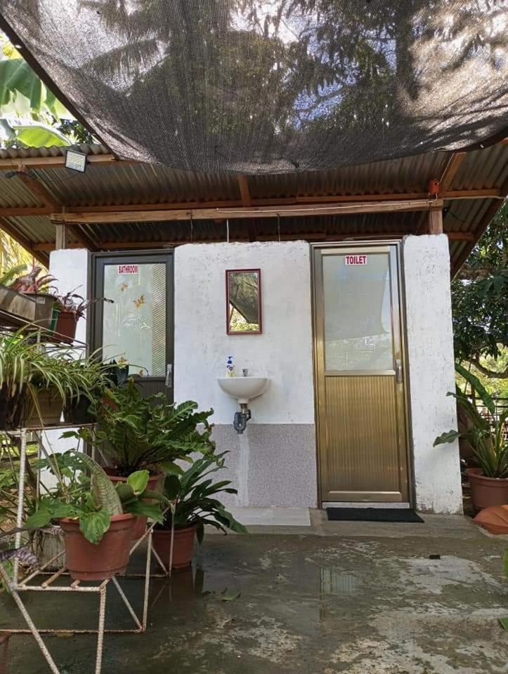 Lagkaw Uno In Lagkaw Homestay Panglao Exteriör bild