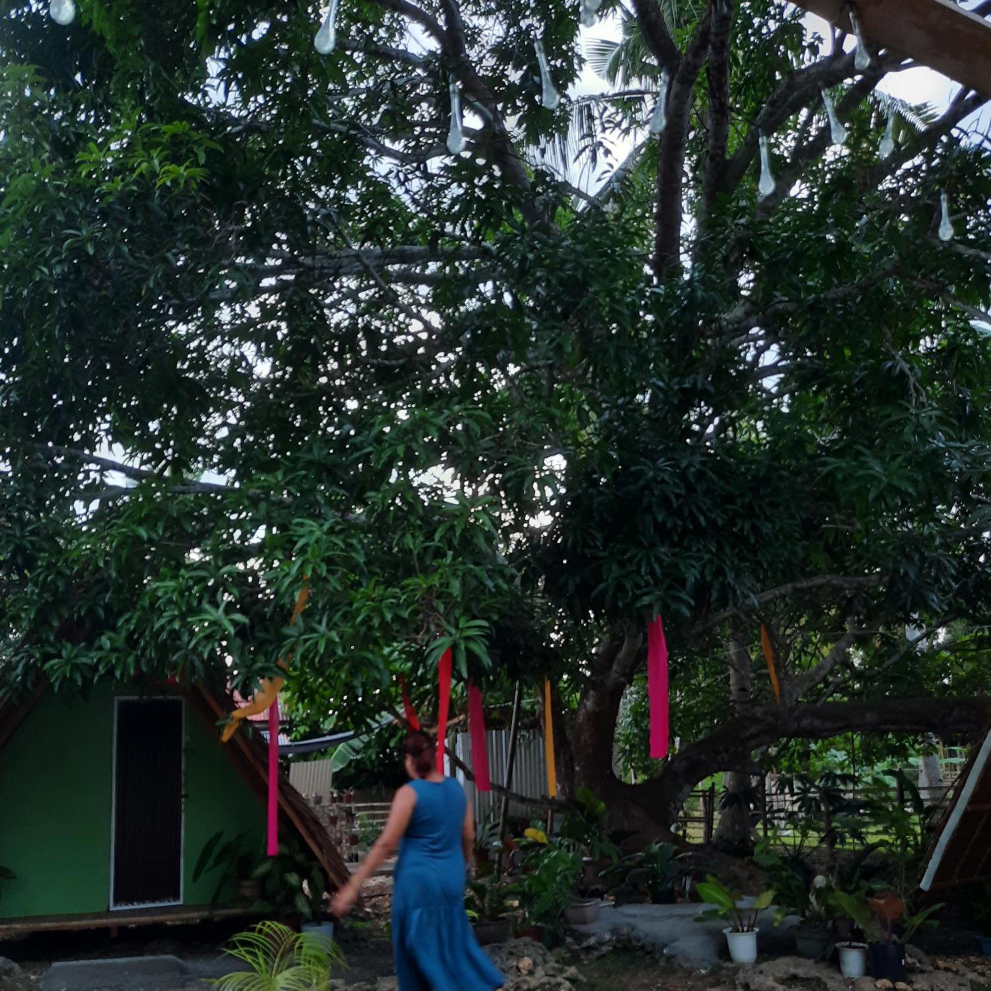 Lagkaw Uno In Lagkaw Homestay Panglao Exteriör bild