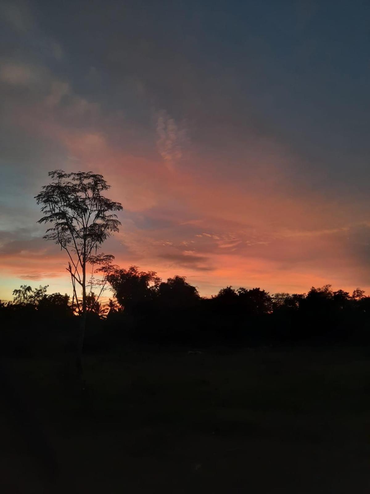 Lagkaw Uno In Lagkaw Homestay Panglao Exteriör bild