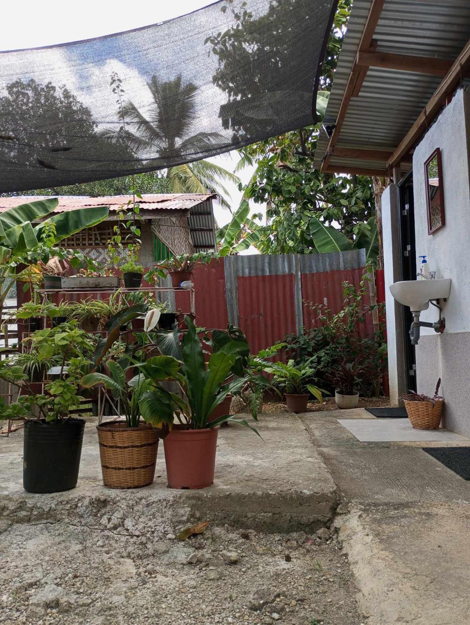 Lagkaw Uno In Lagkaw Homestay Panglao Exteriör bild