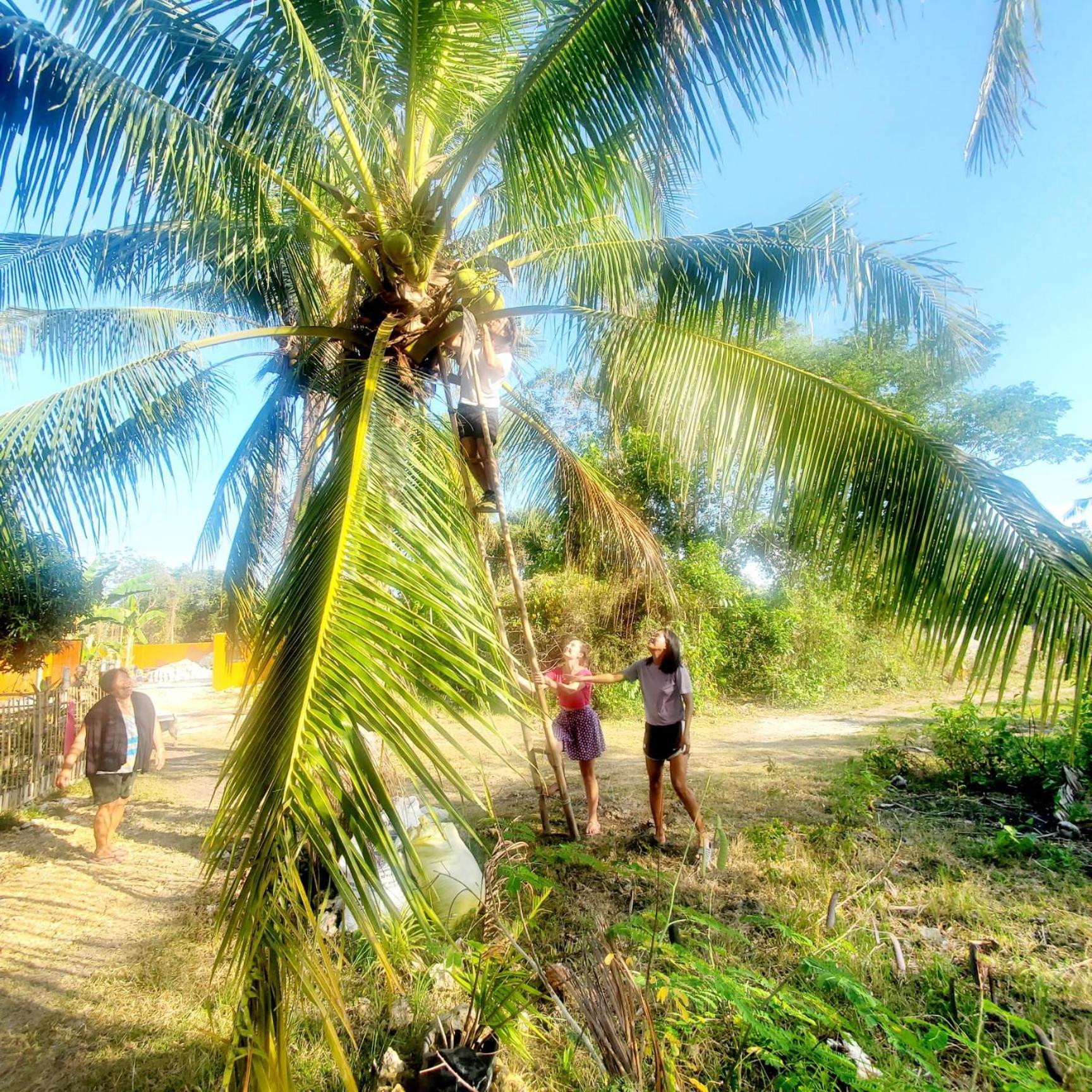 Lagkaw Uno In Lagkaw Homestay Panglao Exteriör bild