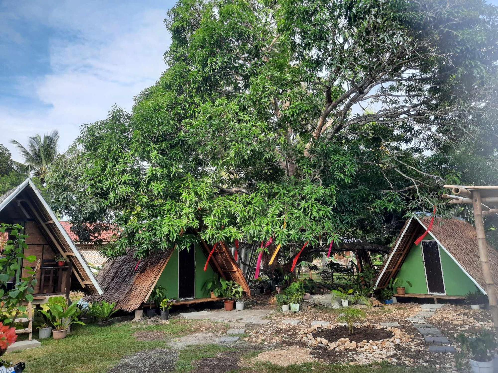 Lagkaw Uno In Lagkaw Homestay Panglao Exteriör bild