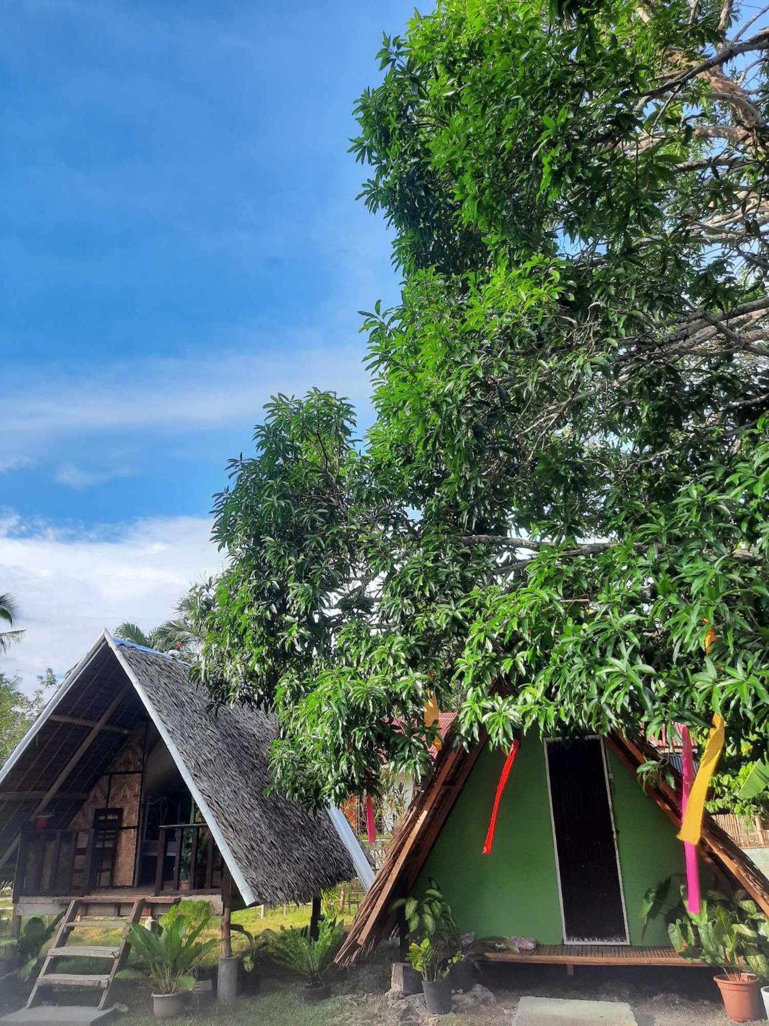 Lagkaw Uno In Lagkaw Homestay Panglao Exteriör bild