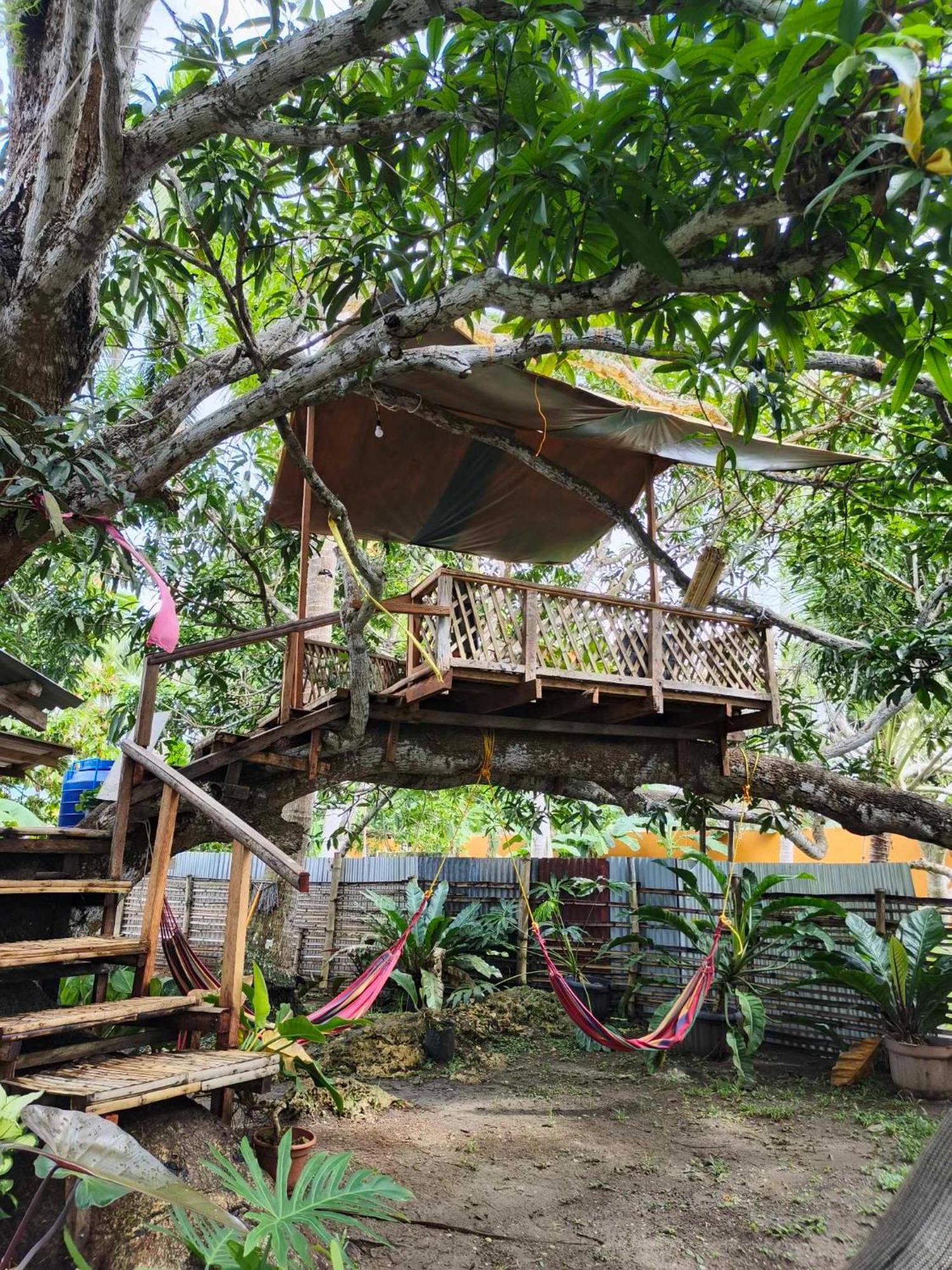 Lagkaw Uno In Lagkaw Homestay Panglao Exteriör bild