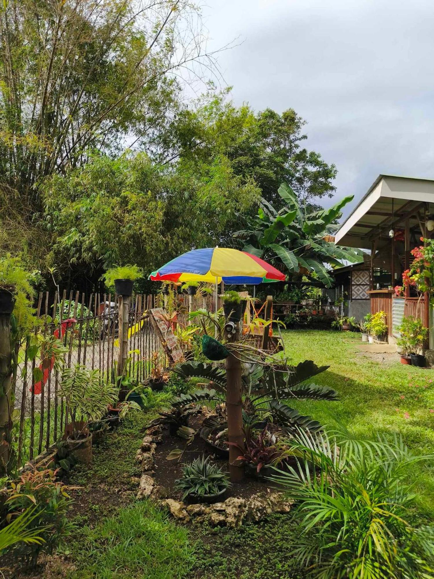 Lagkaw Uno In Lagkaw Homestay Panglao Exteriör bild