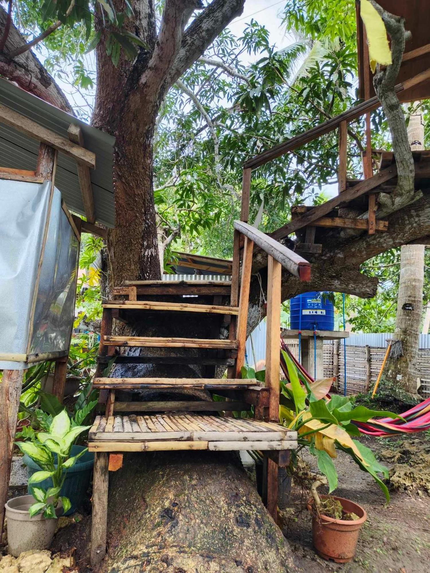 Lagkaw Uno In Lagkaw Homestay Panglao Exteriör bild