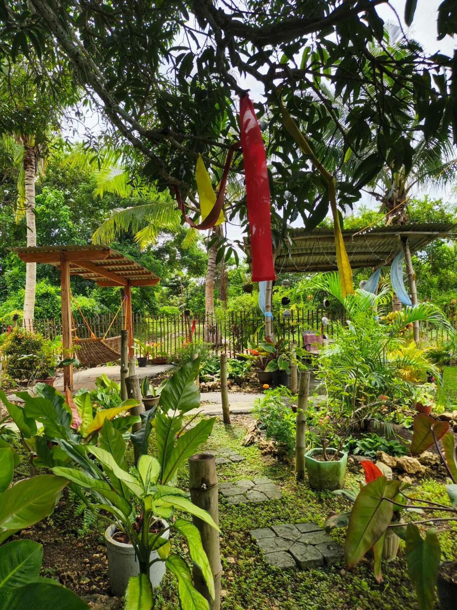 Lagkaw Uno In Lagkaw Homestay Panglao Exteriör bild