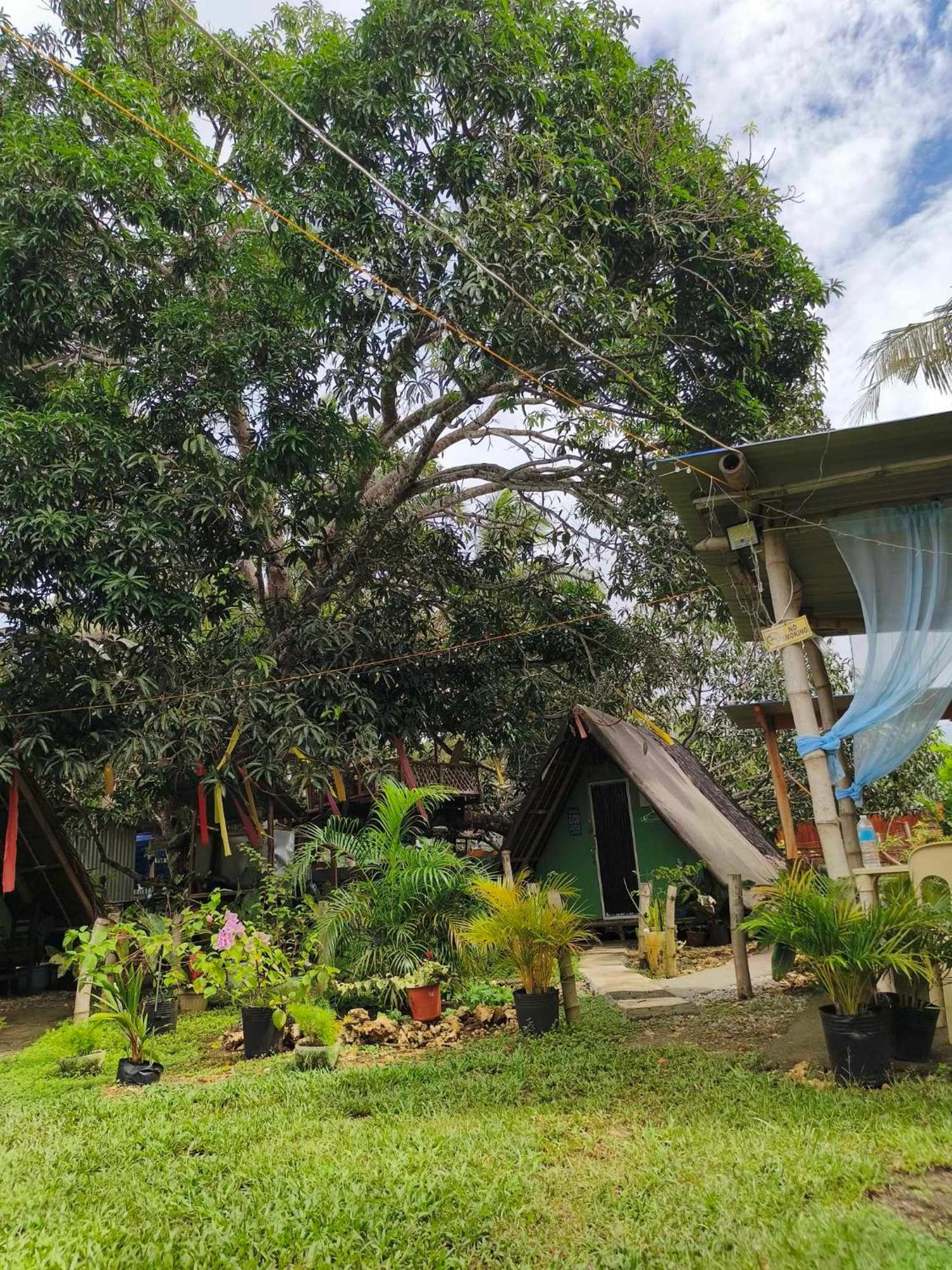 Lagkaw Uno In Lagkaw Homestay Panglao Exteriör bild